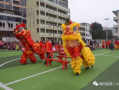 舞狮子表演视频,传承与创新交织的民俗文化展示